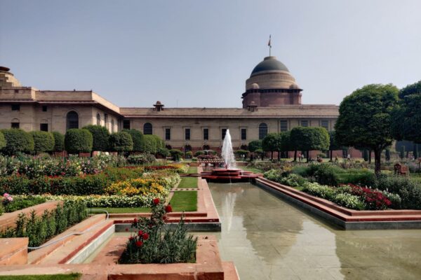 Government & Public Sector